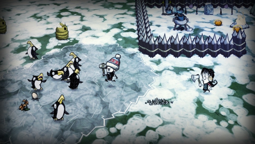don't starve together